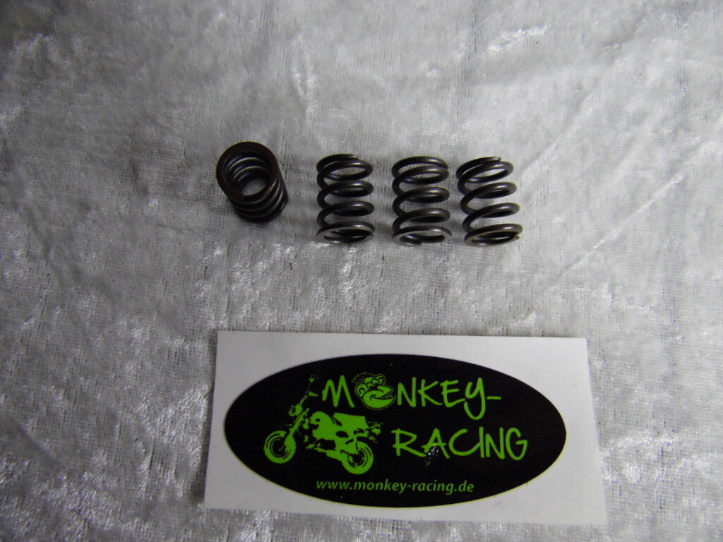 Kupplungsfedern Set SkyTeam 125 Euro 4
