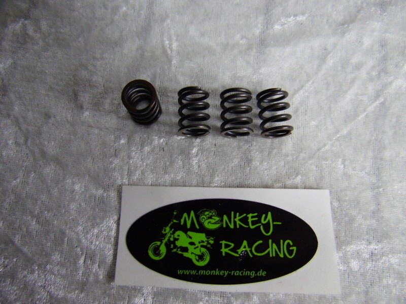 Kupplungsfedern Set SkyTeam 125 Euro 4