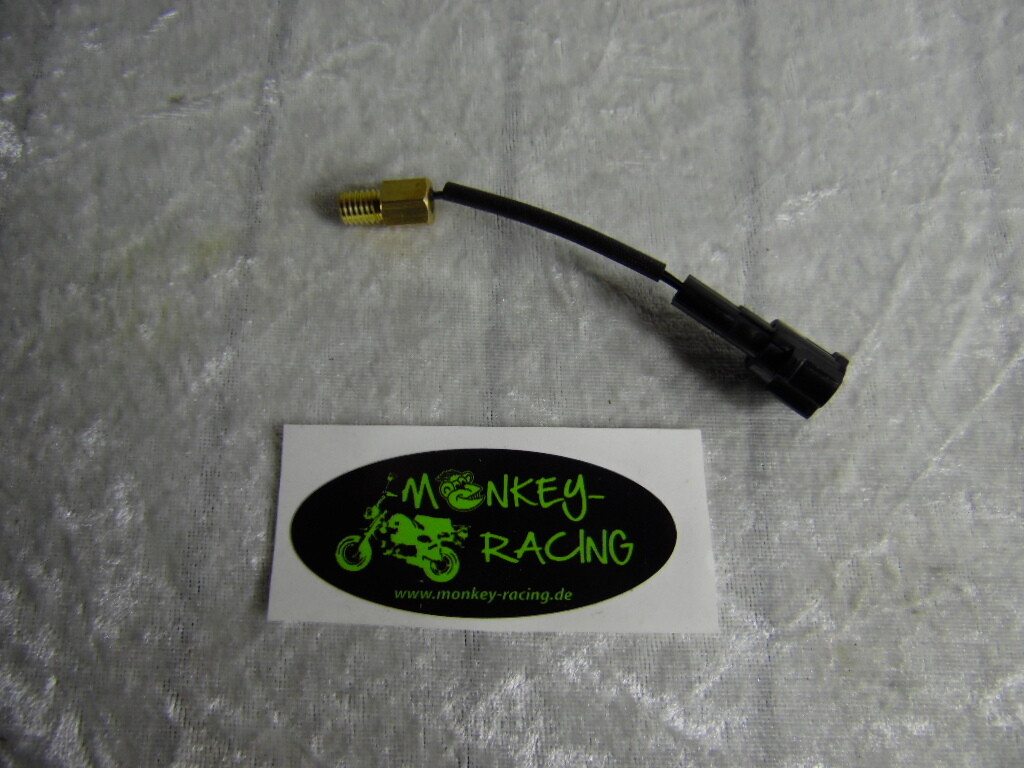 Temperatur Sensor am Zylinder Euro 5