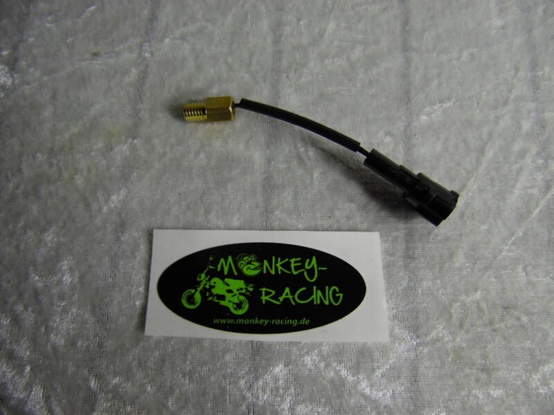 Temperatur Sensor am Zylinder Euro 5