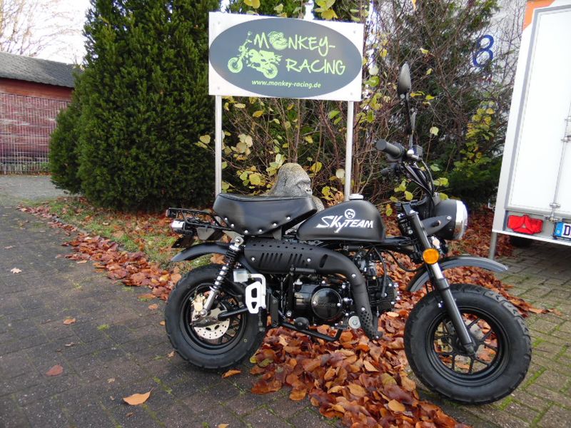 SkyTeam SkyMini 125 (Monkey)