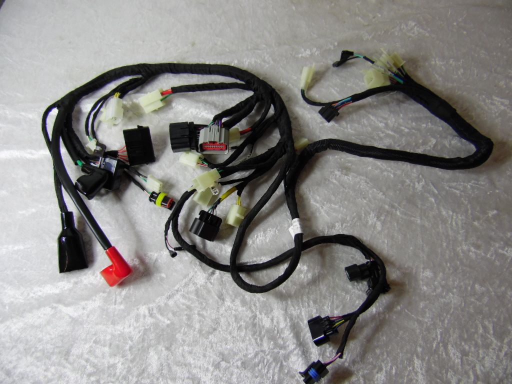 ​Kabelbaum SkyMax Euro 5+