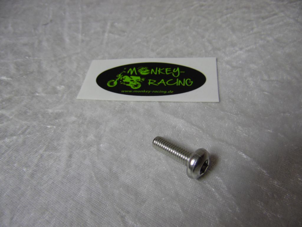 ​SkyTeam M8x25 Schraube für Auspuffhalter SkyMax 125 Euro 5+