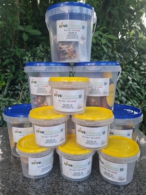Gifts and Hampers