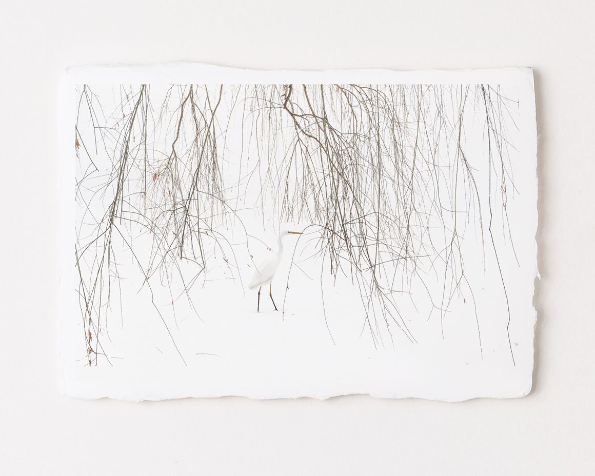 Heron at Nakajima Park - Special Limited Edition on handmade Washi Paper