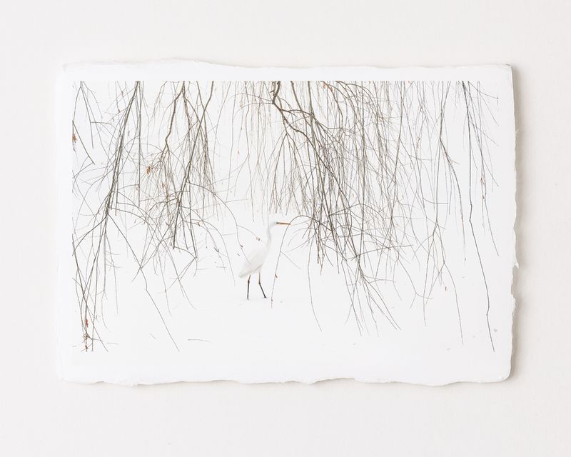 Heron at Nakajima Park - Special Limited Edition on handmade Washi Paper