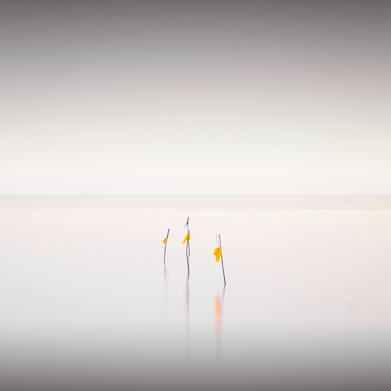 Haiku - Special Limited Edition Print
