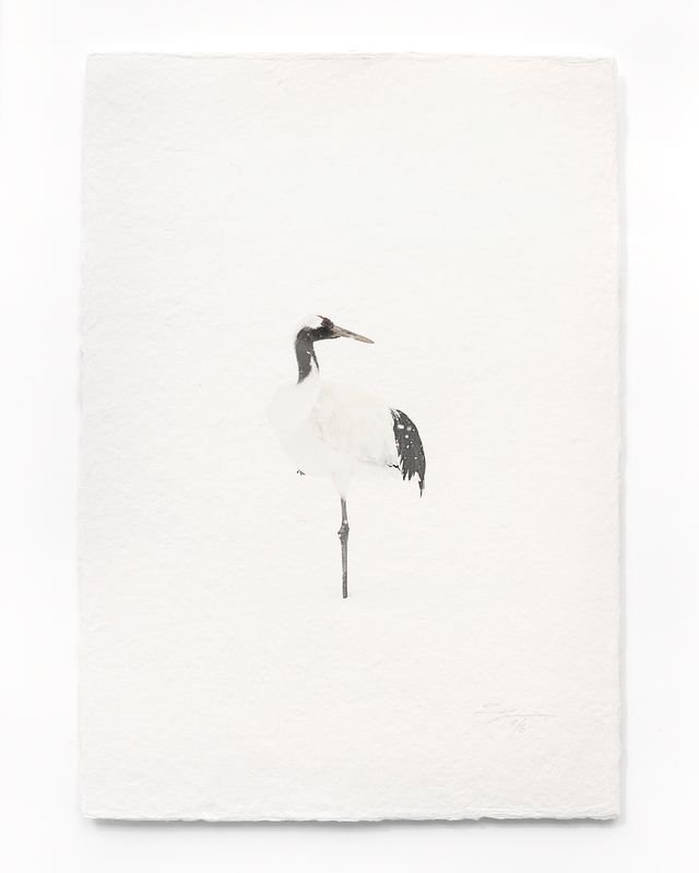 Tanchōdzuru #001 - Limited Edition Print on handmade Washi Paper