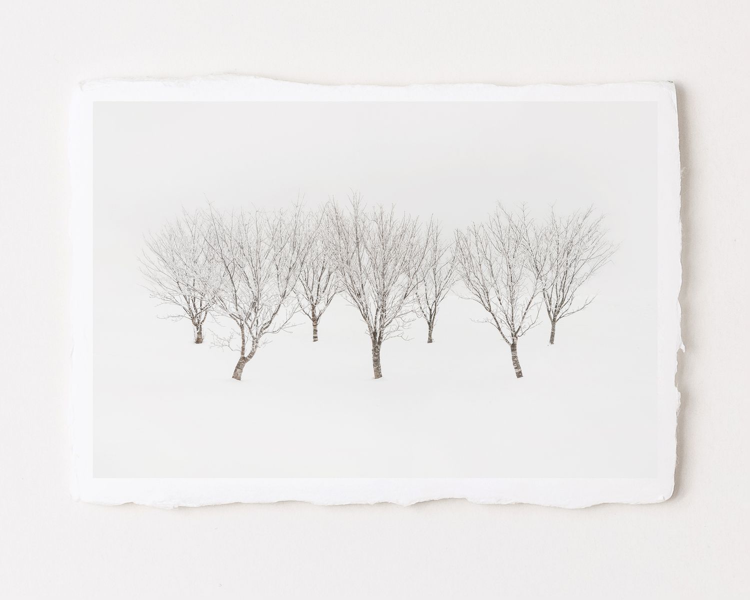 Seven - Special Limited Edition on handmade Washi Paper