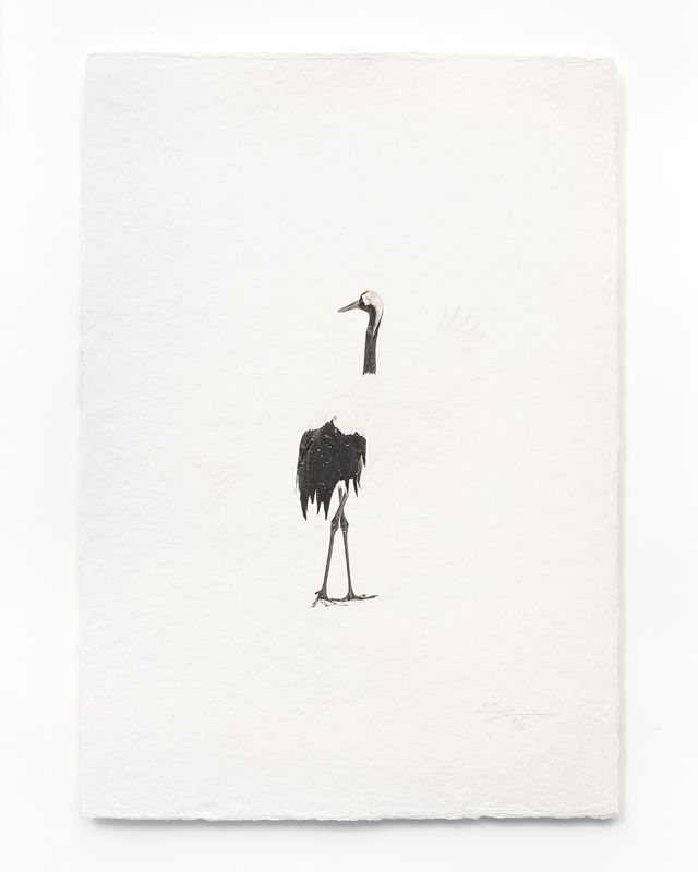 Tanchōdzuru #004 - Limited Edition Print on handmade Washi Paper