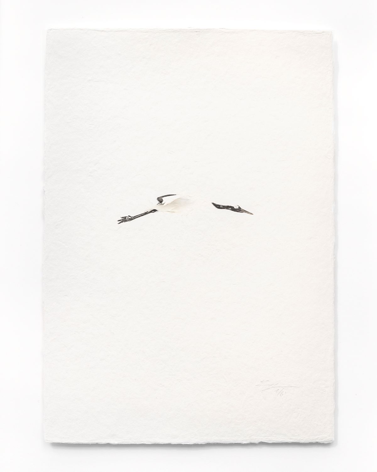 Tanchōdzuru #015 - Limited Edition Print on handmade Washi Paper
