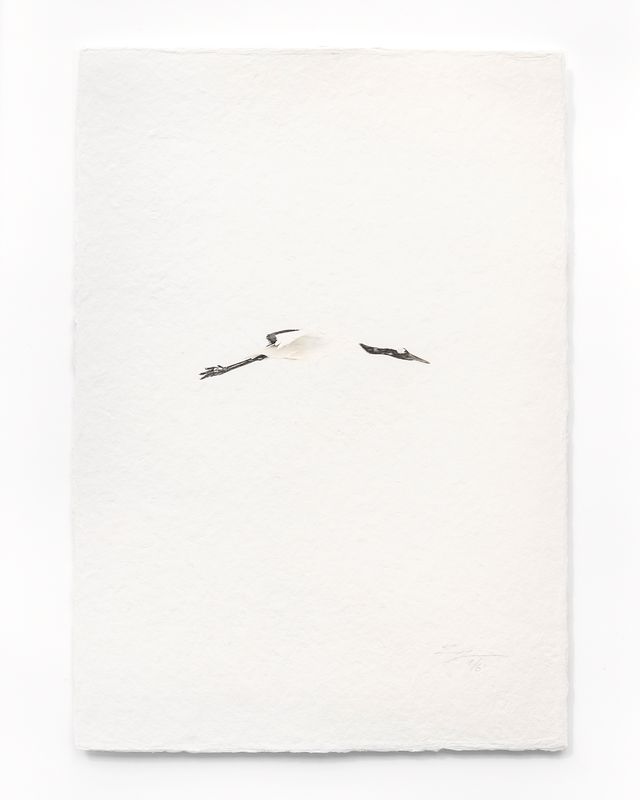 Tanchōdzuru #015 - Limited Edition Print on handmade Washi Paper