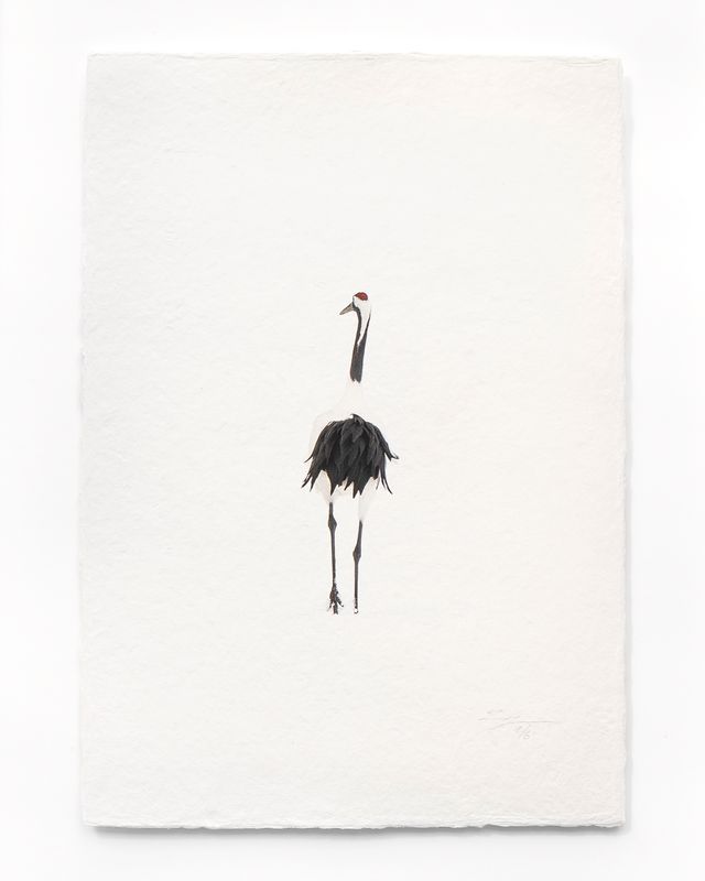 Tanchōdzuru #068 - Limited Edition Print on handmade Washi Paper