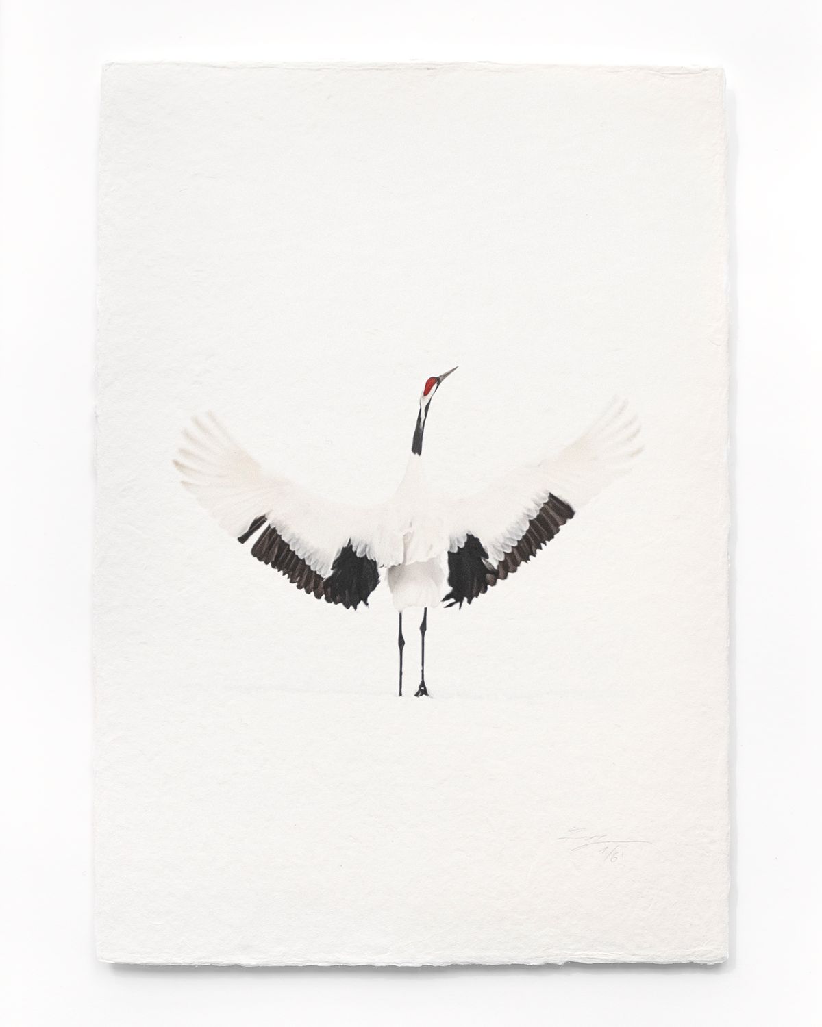 Tanchōdzuru #069 - Limited Edition Print on handmade Washi Paper