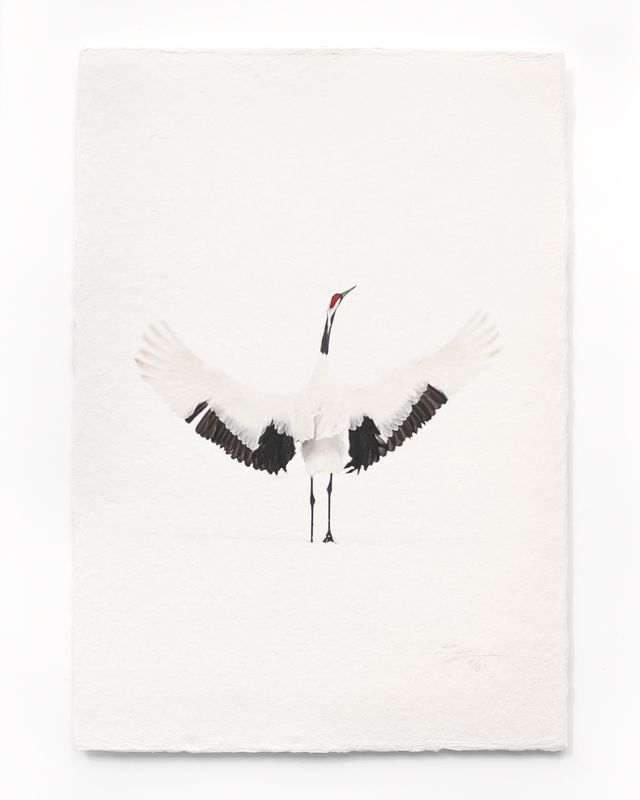 Tanchōdzuru #069 - Limited Edition Print on handmade Washi Paper