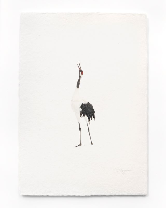 Tanchōdzuru #002 - Limited Edition Print on handmade Washi Paper
