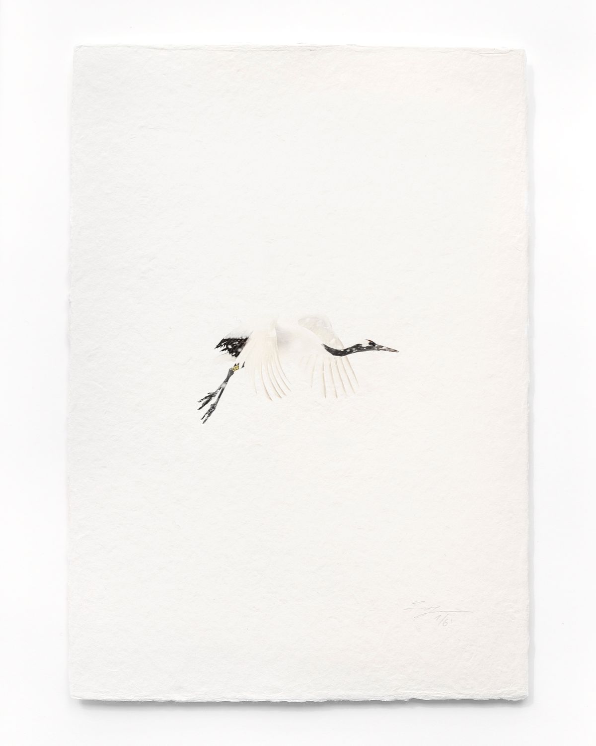 Tanchōdzuru #020 - Limited Edition Print on handmade Washi Paper