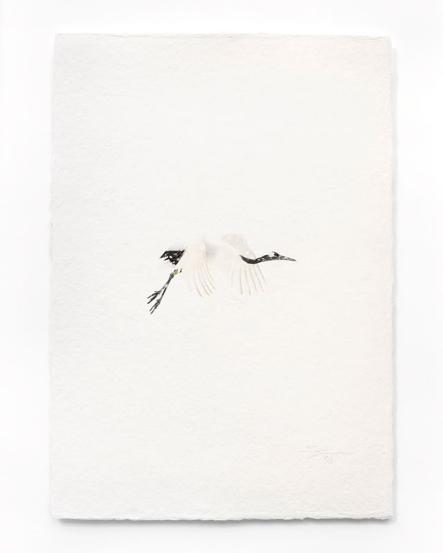 Tanchōdzuru #020 - Limited Edition Print on handmade Washi Paper