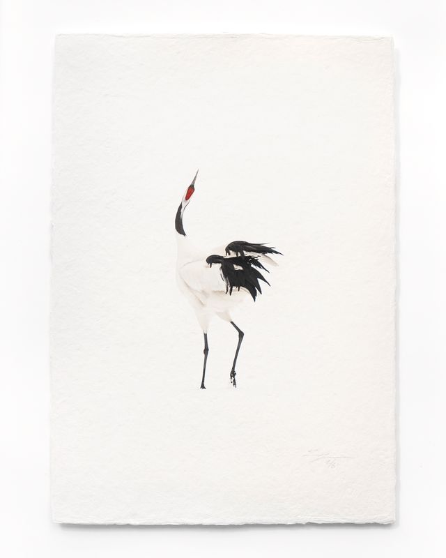 Tanchōdzuru #071 - Limited Edition Print on handmade Washi Paper