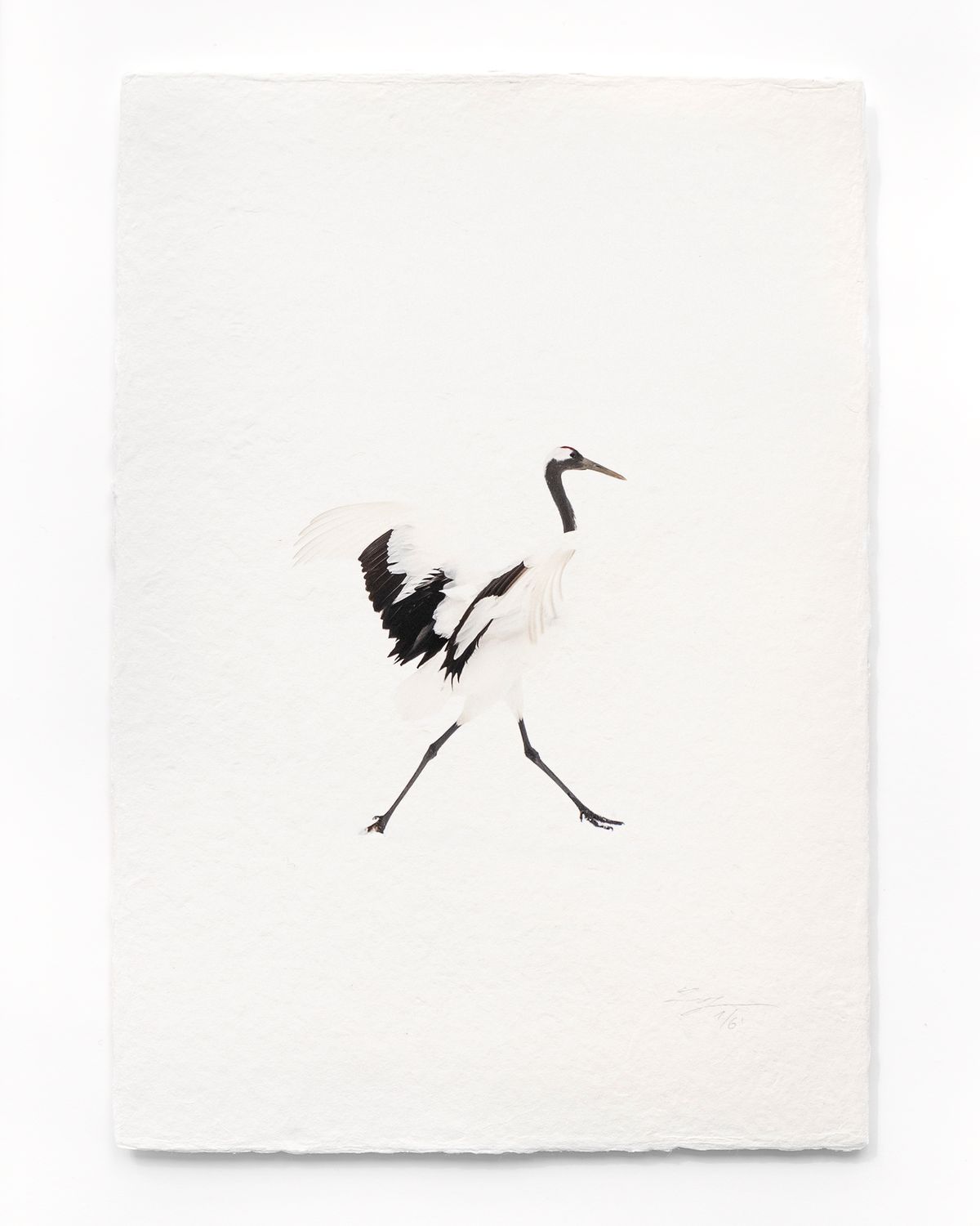 Tanchōdzuru #074 - Limited Edition Print on handmade Washi Paper