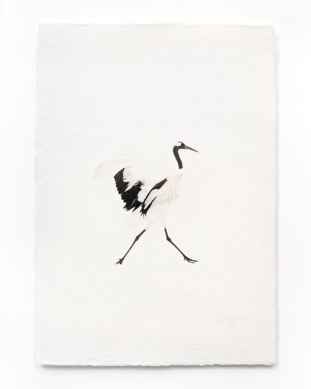 Tanchōdzuru #074 - Limited Edition Print on handmade Washi Paper