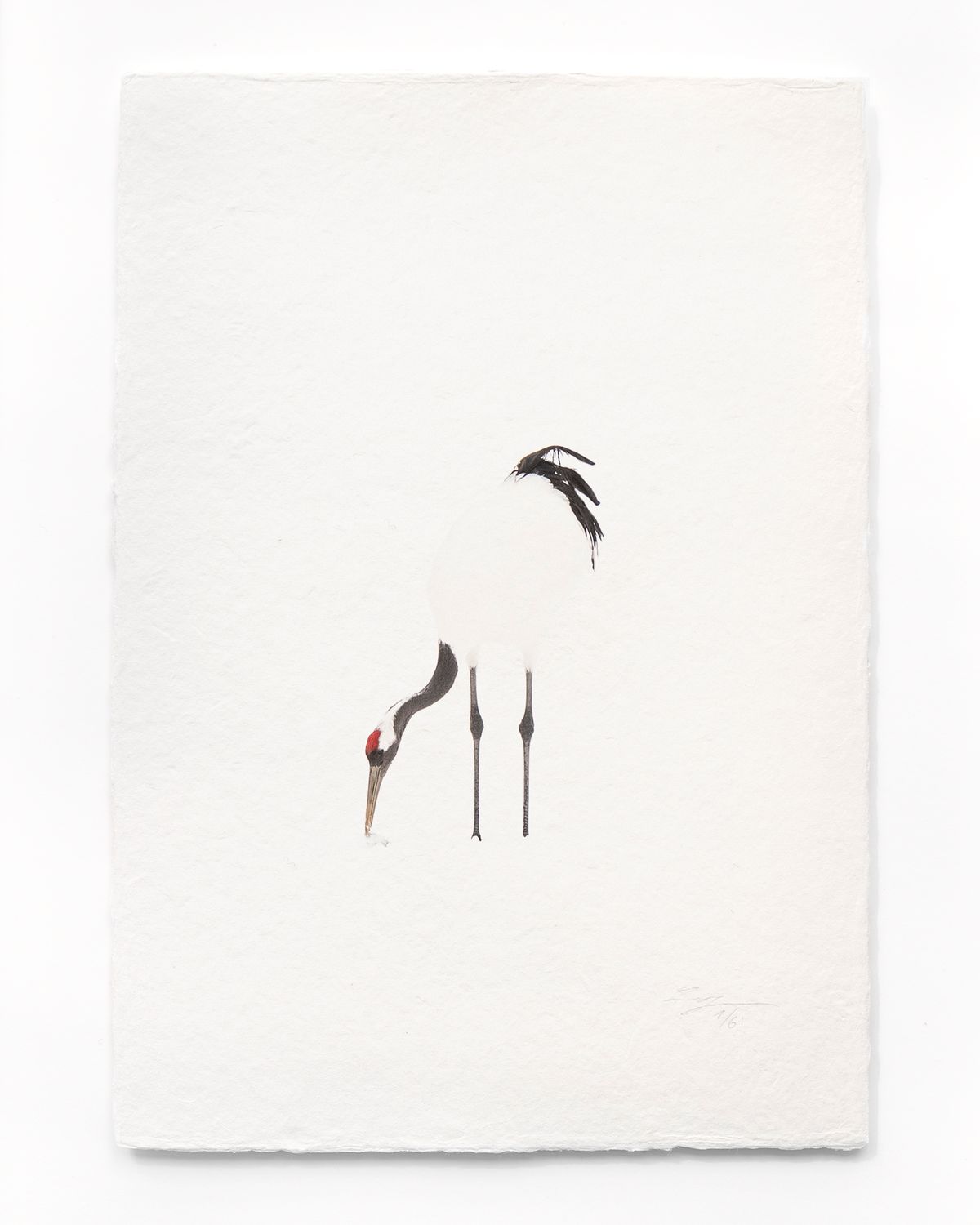 Tanchōdzuru #081 - Limited Edition Print on handmade Washi Paper