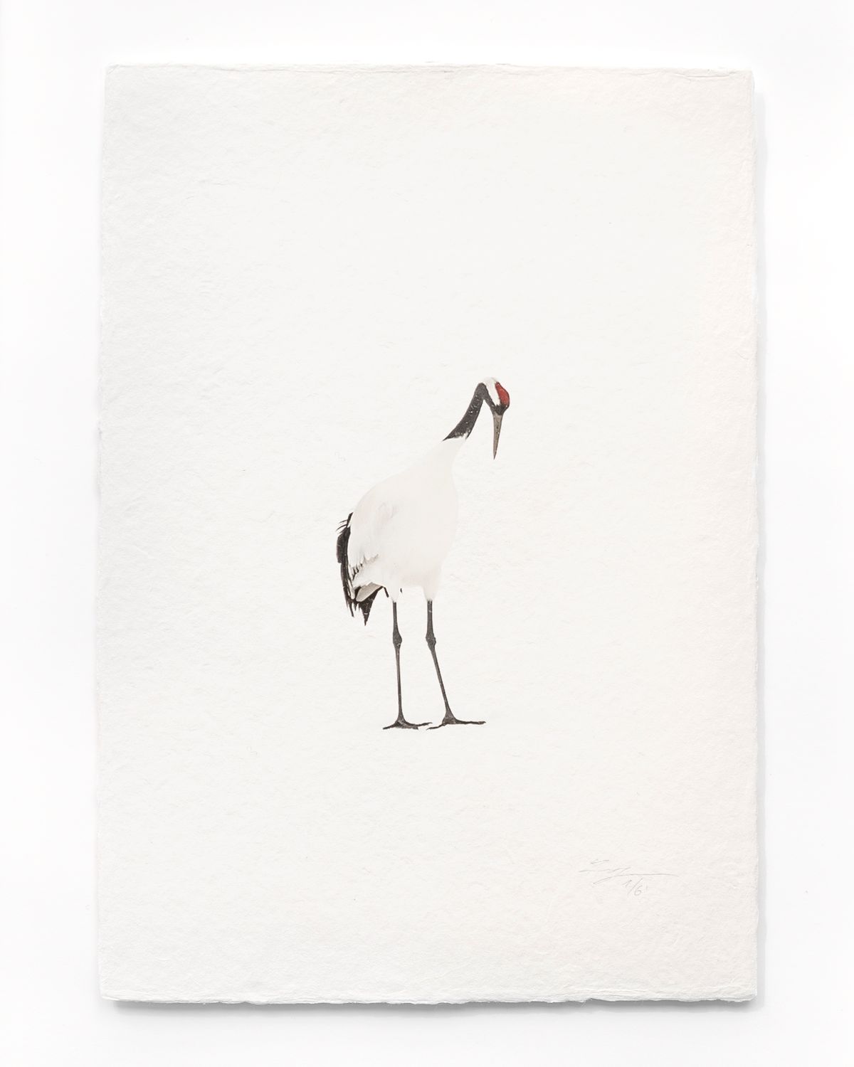 Tanchōdzuru #003 - Limited Edition Print on handmade Washi Paper