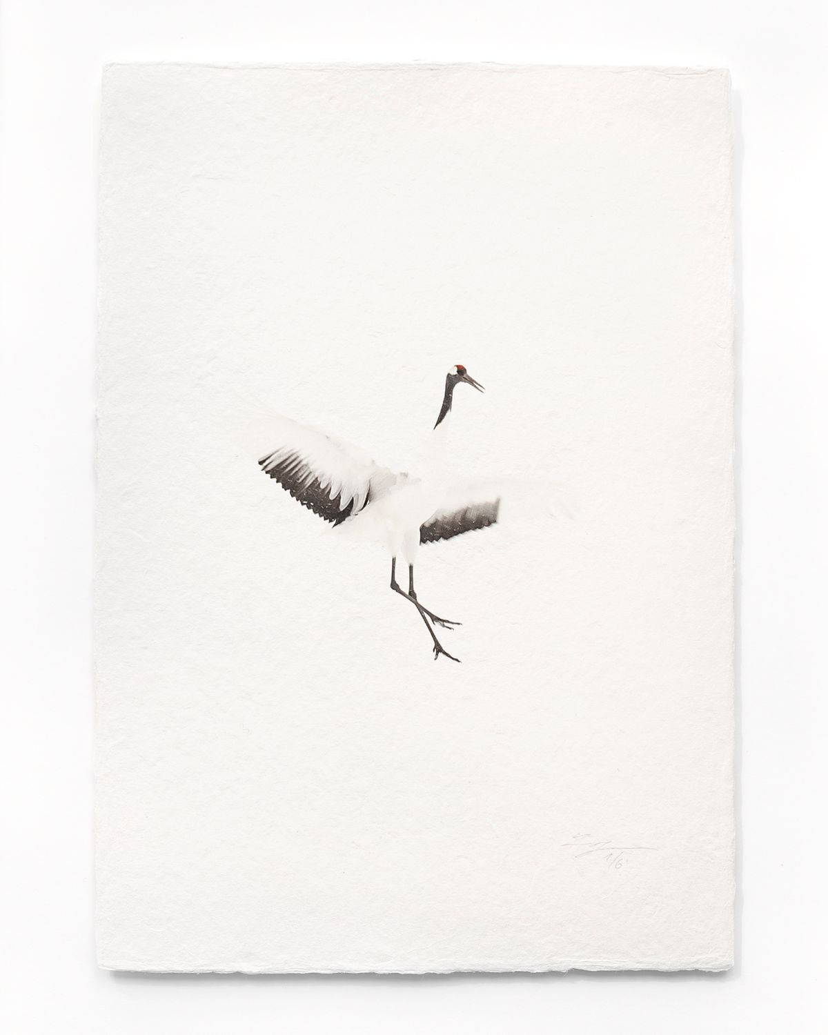 Tanchōdzuru #010 - Limited Edition Print on handmade Washi Paper