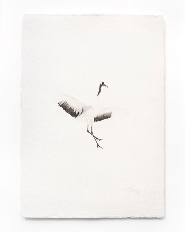 Tanchōdzuru #010 - Limited Edition Print on handmade Washi Paper