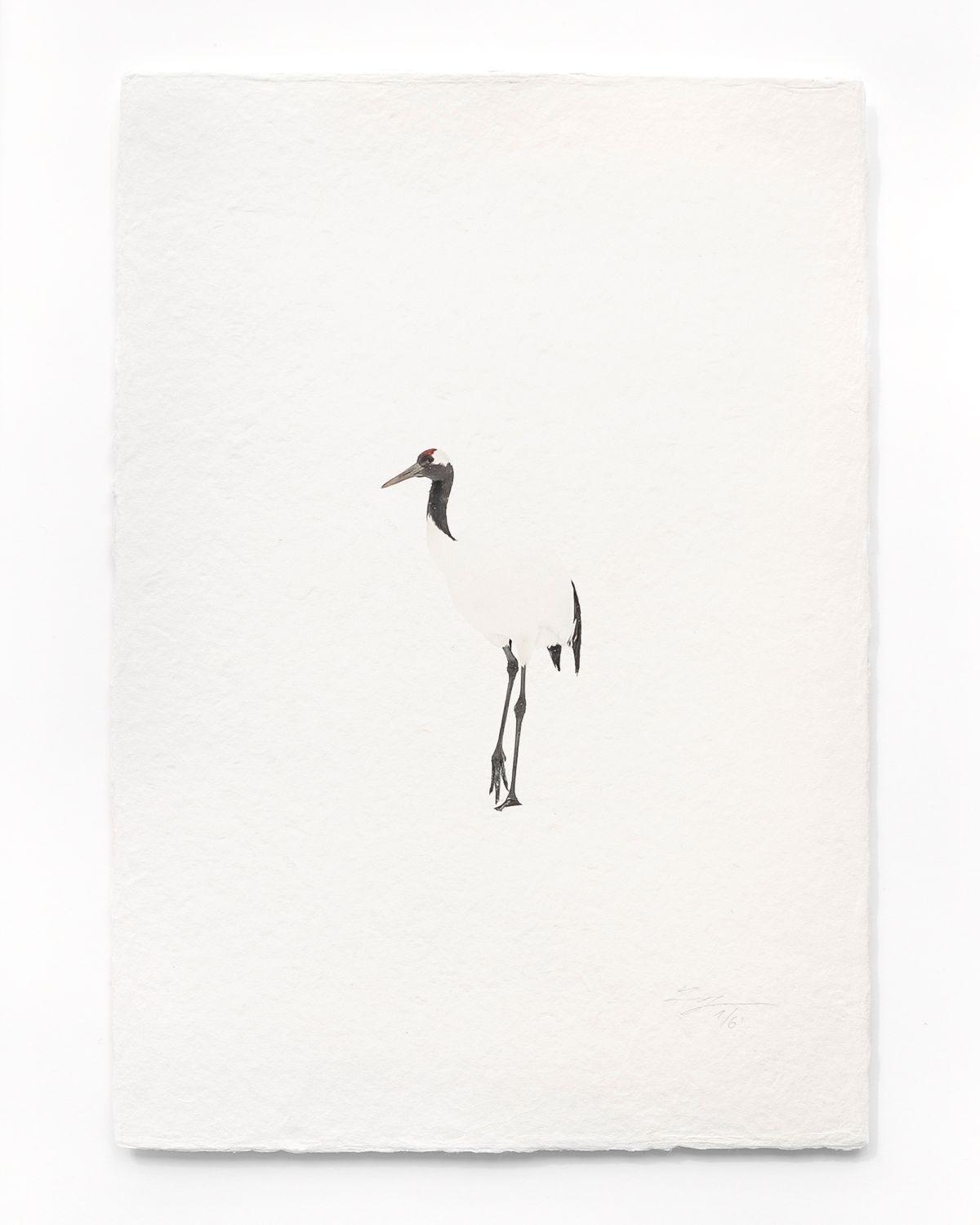 Tanchōdzuru #014 - Limited Edition Print on handmade Washi Paper