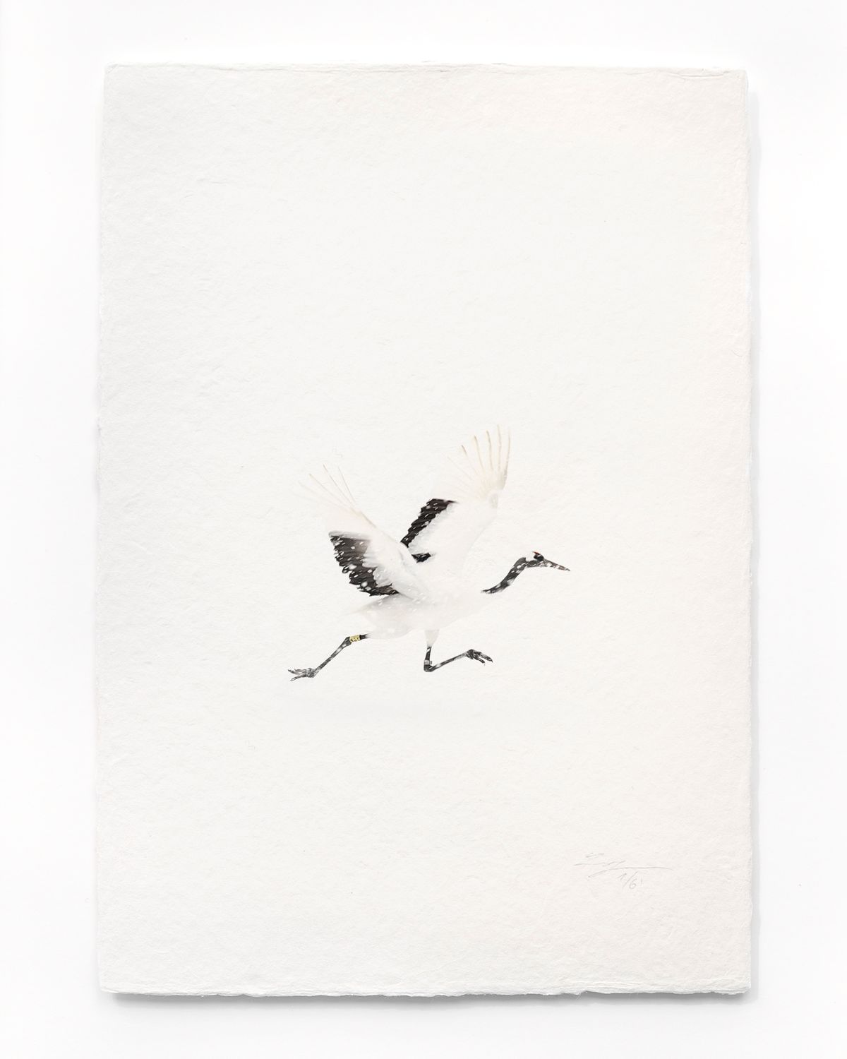 Tanchōdzuru #018 - Limited Edition Print on handmade Washi Paper