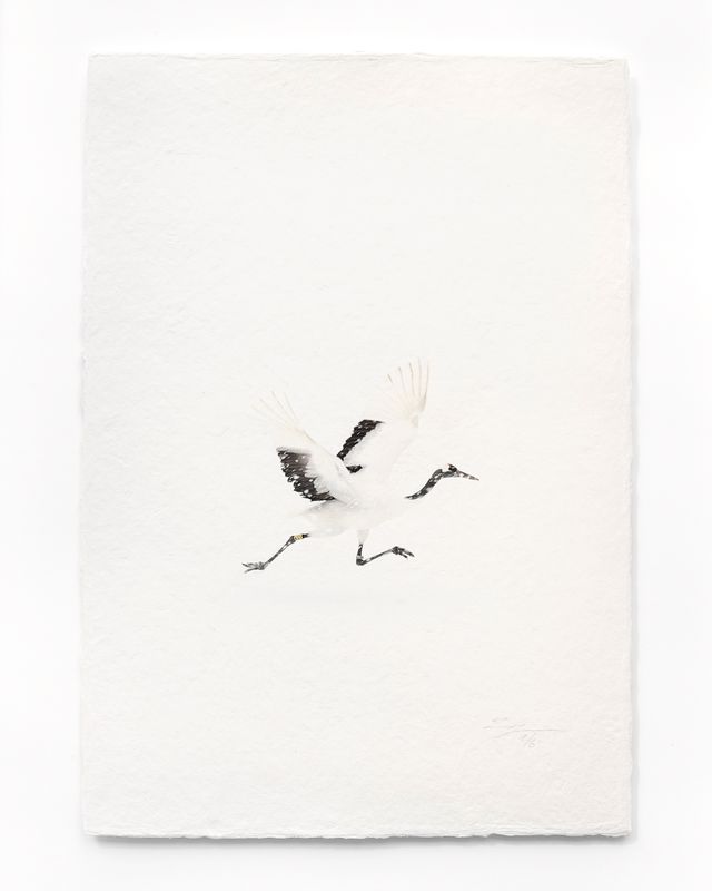 Tanchōdzuru #018 - Limited Edition Print on handmade Washi Paper