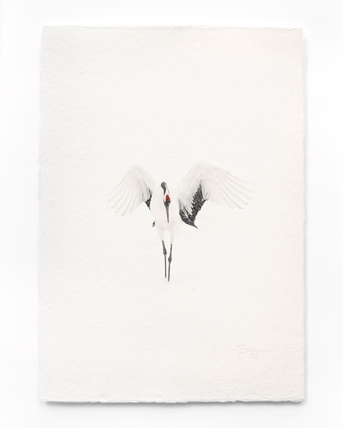 Tanchōdzuru #021 - Limited Edition Print on handmade Washi Paper