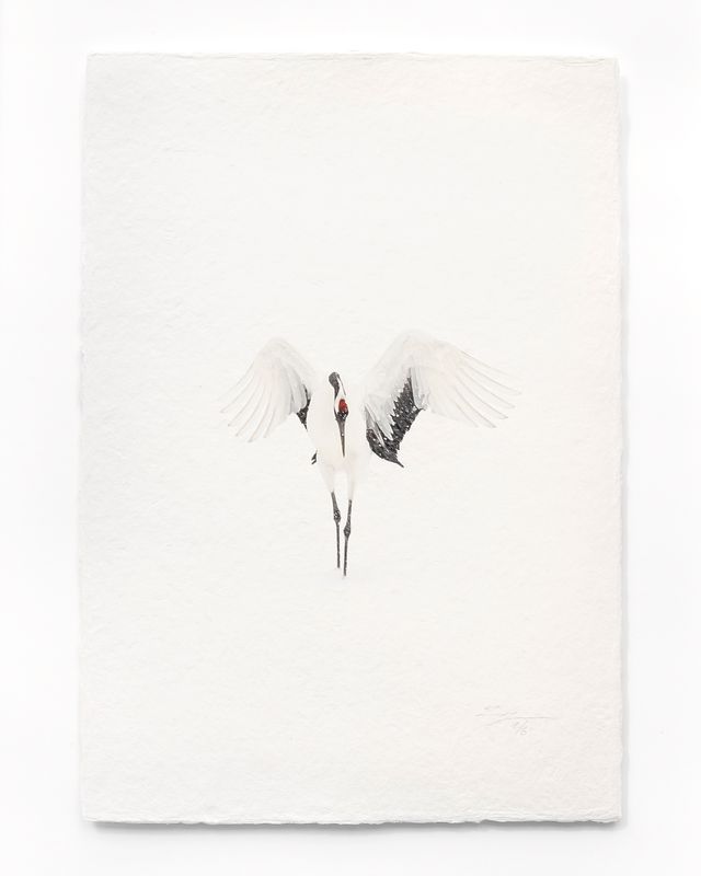 Tanchōdzuru #021 - Limited Edition Print on handmade Washi Paper