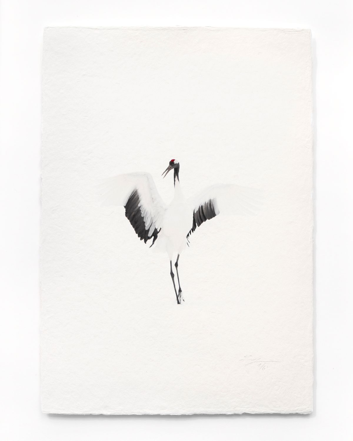 Tanchōdzuru #042 - Limited Edition Print on handmade Washi Paper