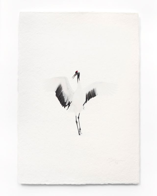 Tanchōdzuru #042 - Limited Edition Print on handmade Washi Paper