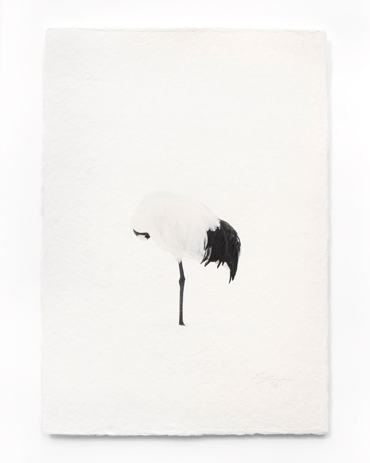 Tanchōdzuru #046 - Limited Edition Print on handmade Washi Paper