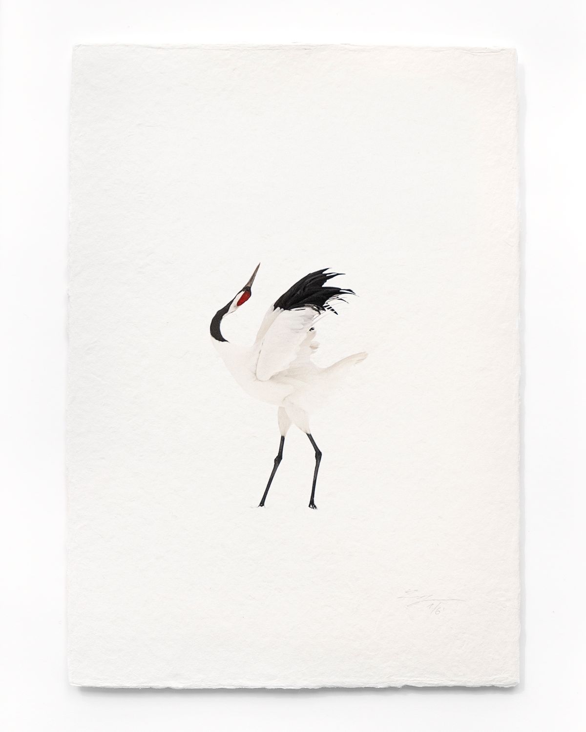 Tanchōdzuru #070 - Limited Edition Print on handmade Washi Paper
