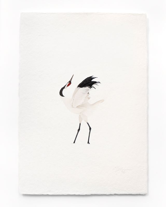 Tanchōdzuru #070 - Limited Edition Print on handmade Washi Paper
