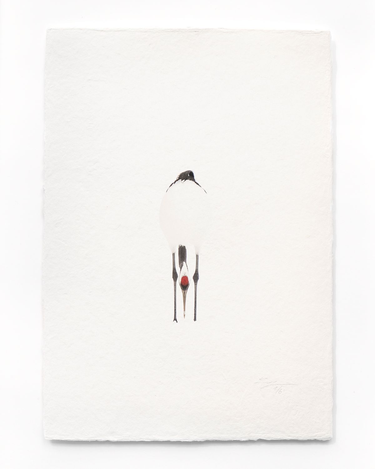 Tanchōdzuru #080 - Limited Edition Print on handmade Washi Paper