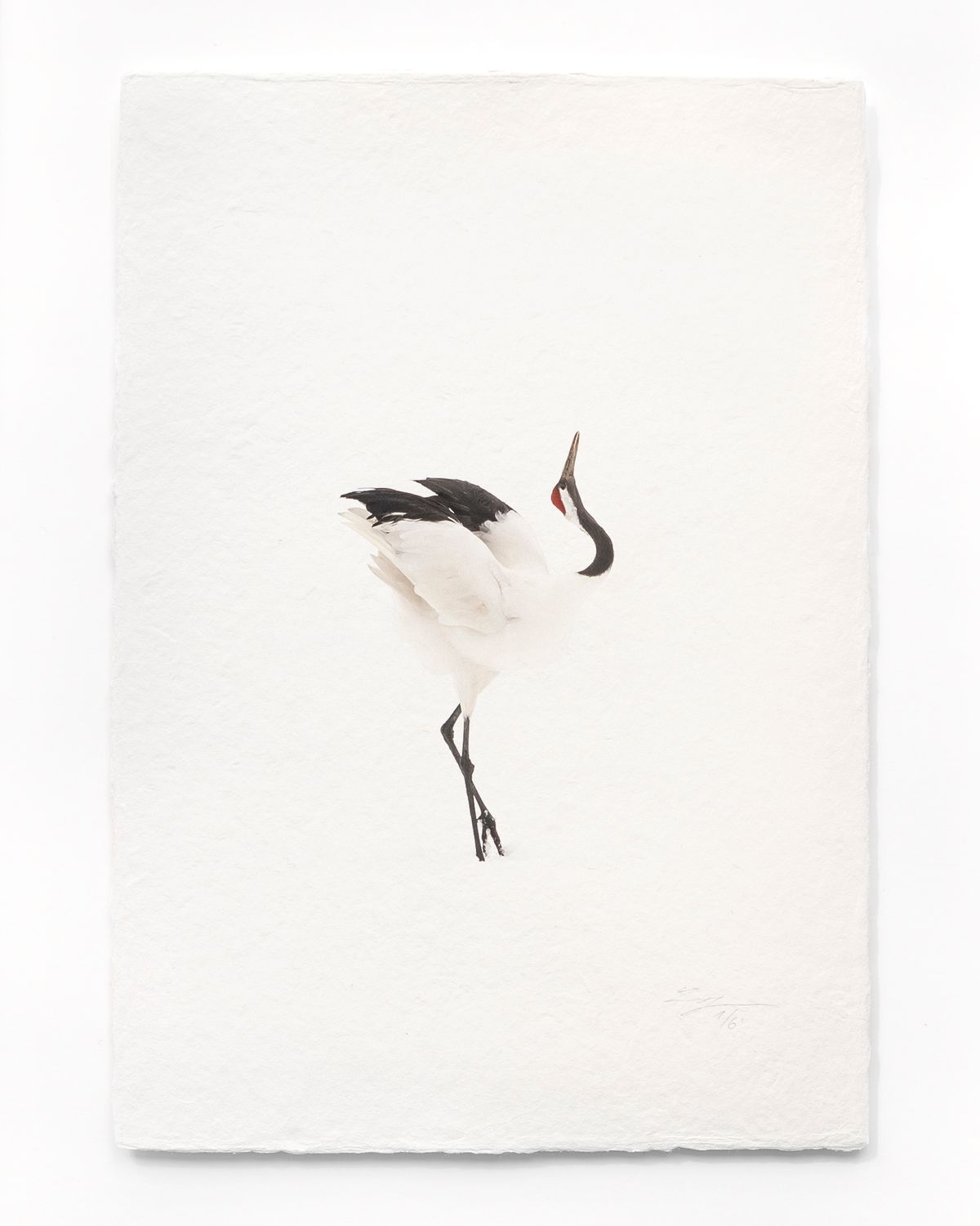 Tanchōdzuru #085 - Limited Edition Print on handmade Washi Paper