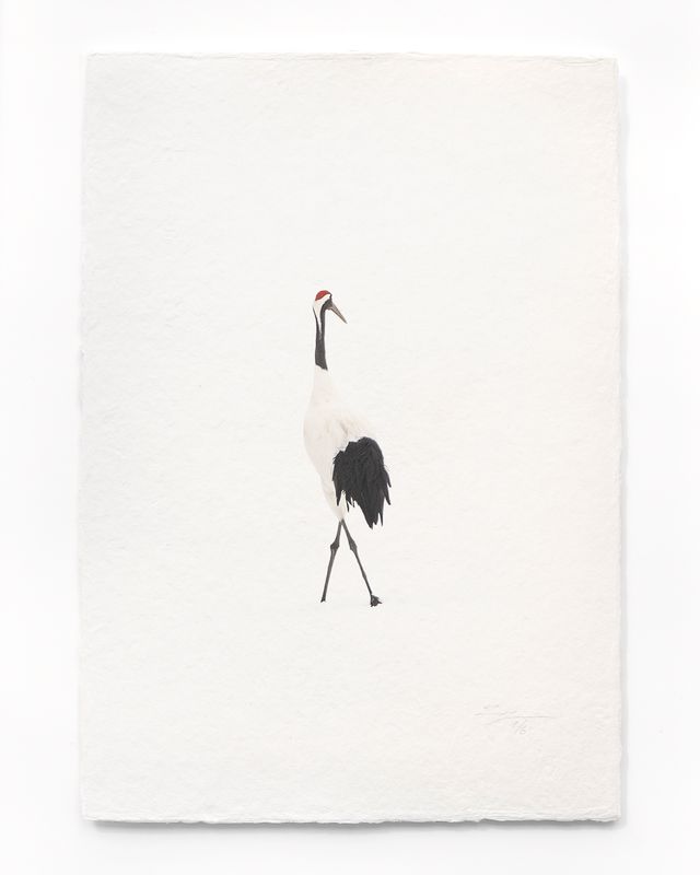 Tanchōdzuru #086 - Limited Edition Print on handmade Washi Paper