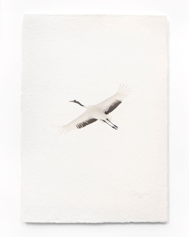 Tanchōdzuru #090 - Limited Edition Print on handmade Washi Paper