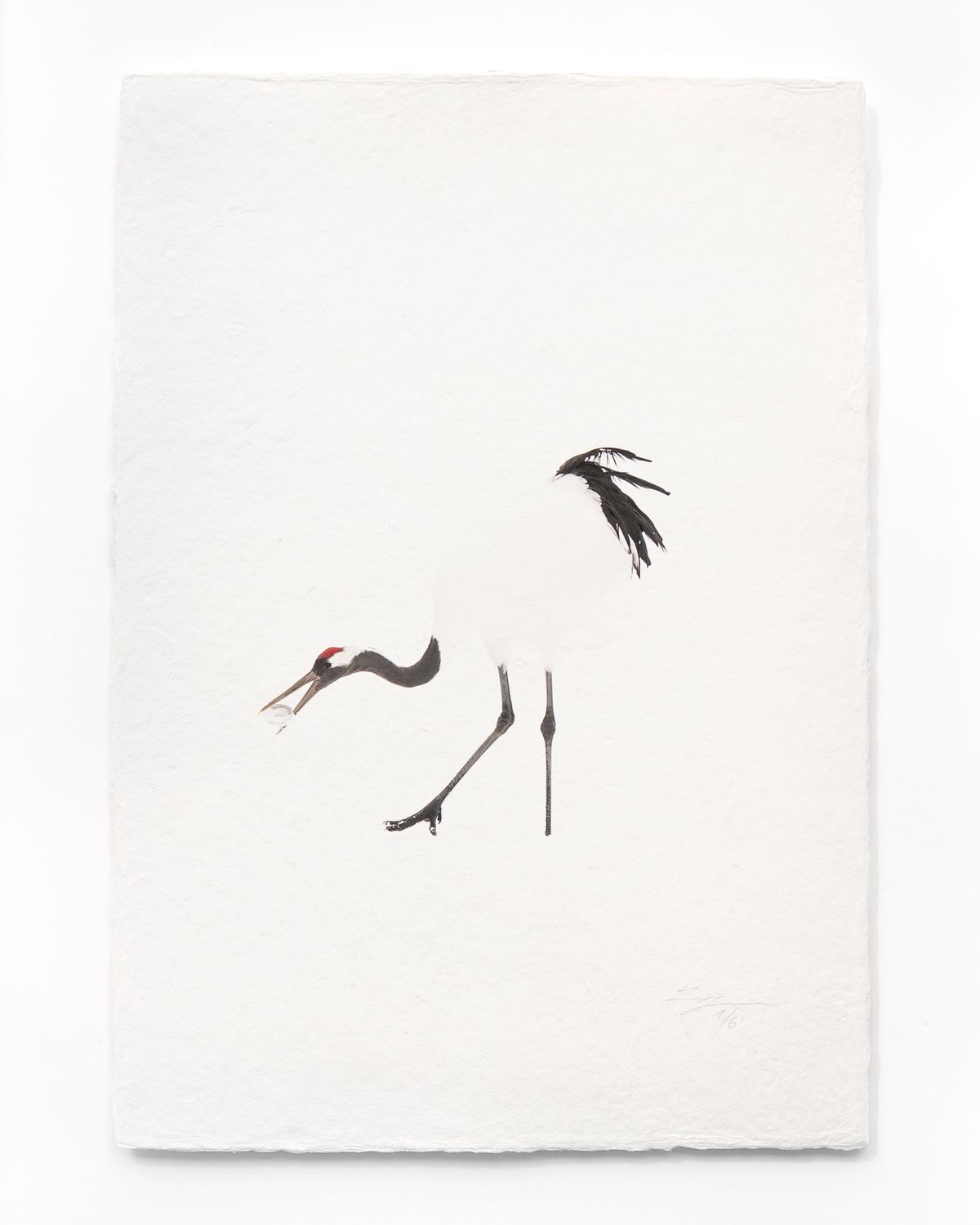 Tanchōdzuru #082 - Limited Edition Print on handmade Washi Paper