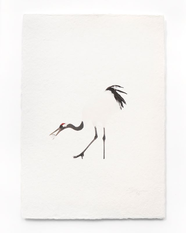 Tanchōdzuru #082 - Limited Edition Print on handmade Washi Paper