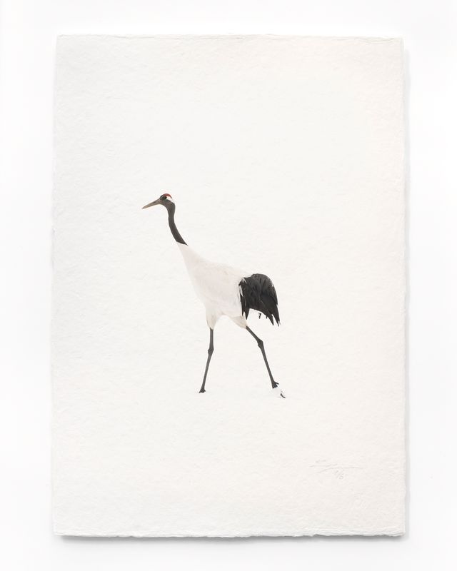 Tanchōdzuru #088 - Limited Edition Print on handmade Washi Paper