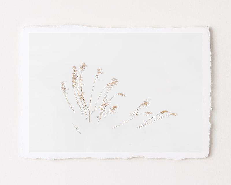 Calligraphy XVII - Special Limited Edition on handmade Washi Paper