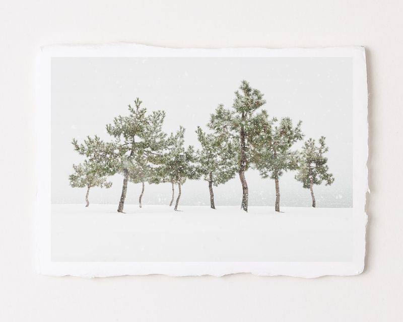 Dance - Special Limited Edition on handmade Washi Paper Dance - Special Limited Edition on handmade Washi Paper