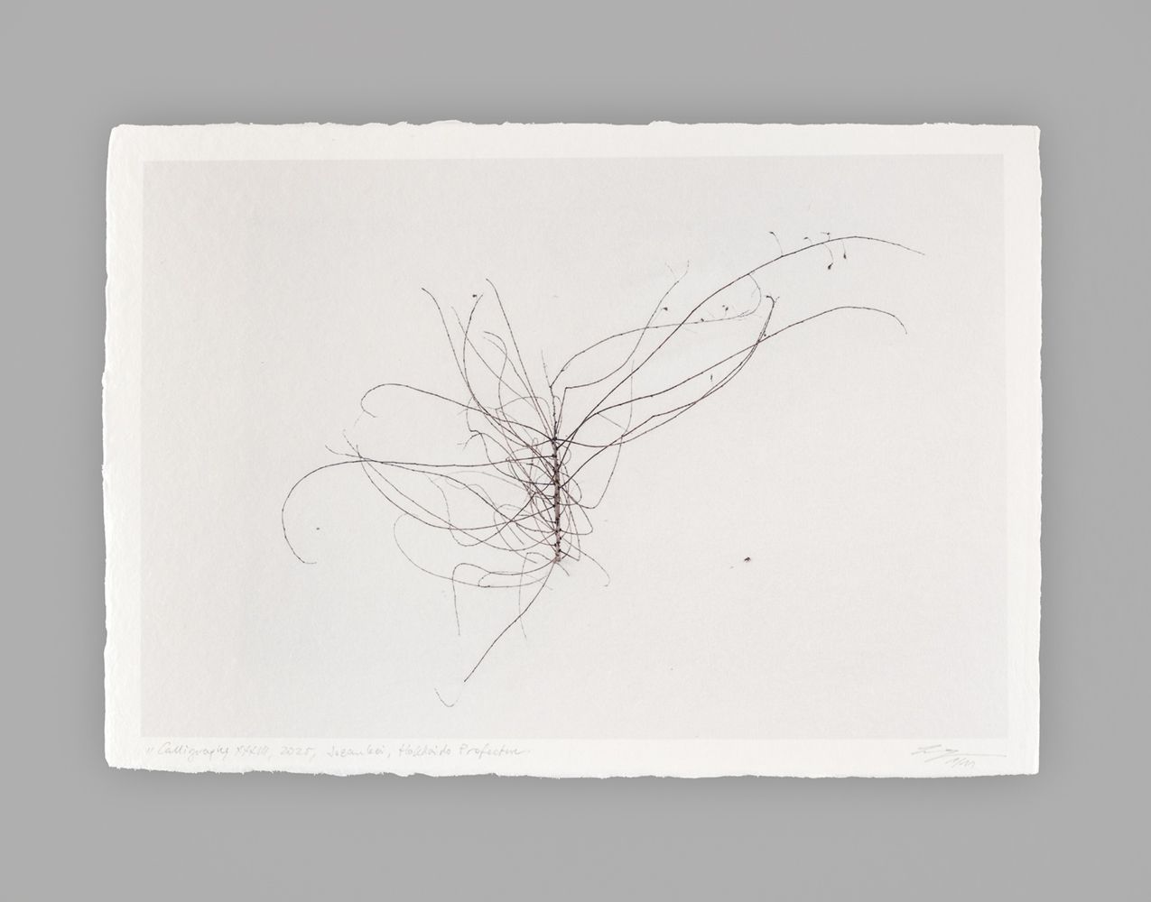 Calligraphy XXXIII - Special Limited Edition on handmade Washi Paper - 31 cm x 22 cm