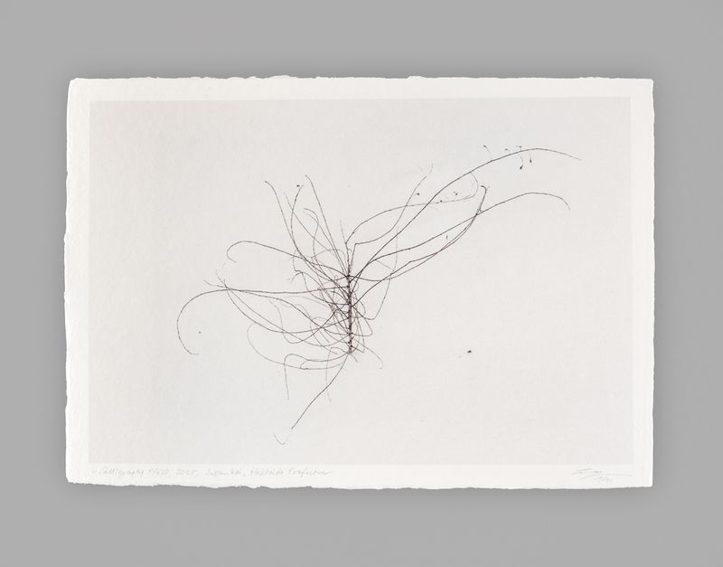 Calligraphy XXXIII - Special Limited Edition on handmade Washi Paper - 31 cm x 22 cm